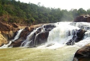 Adventure, Bhitarkanika, Satkosia and Similipal Wildlife tours | Swosti Travels