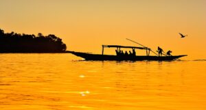 A Drive to Chilika Lake for Bird Watching