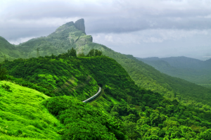 Discover the Enchanting Beauty of Coorg, Goa, Lonavala, and Wayanad