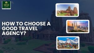 How to Choose a Good And Trusted Travel Agency?
