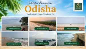 Hidden Beaches in Odisha You Probably Haven’t Explored Yet