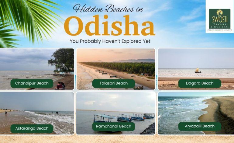 Hidden Beaches in Odisha You Probably Haven’t Explored Yet